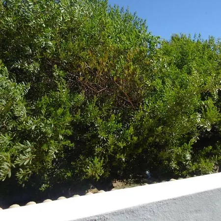 Moradia Quinta Das Areias * Porches (Algarve)